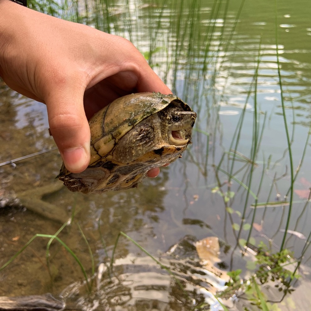 Meet your Posher, Luis
